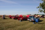 RMIMG_6487.jpg
3,606.18 KB
3456 x 2304
9/30/2007