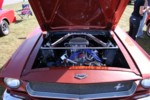RMIMG_6583.jpg
3,723.73 KB
3456 x 2304
9/30/2007