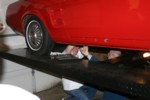 IMG_4978.JPG

64.01 KB 
800 x 533 
1/23/2006
