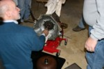 IMG_4984.JPG

84.28 KB 
800 x 533 
1/23/2006
