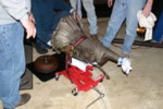 IMG_4985.JPG

101.47 KB 
800 x 533 
1/23/2006
