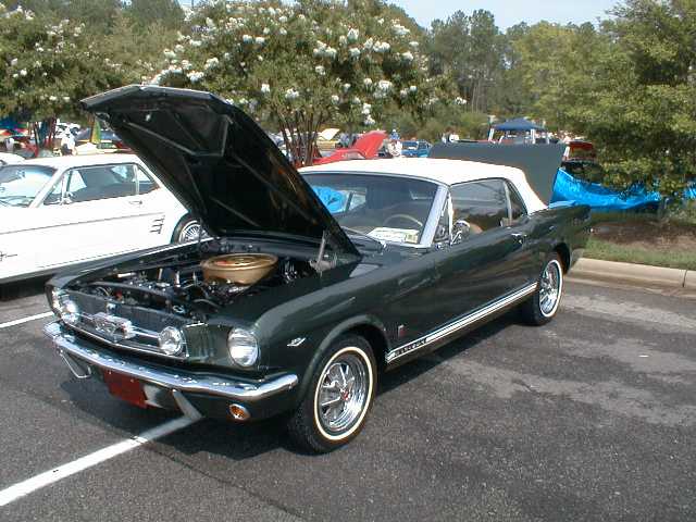 1965 Mustang Colors